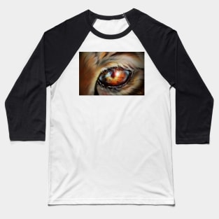 TIGER-EYE Baseball T-Shirt